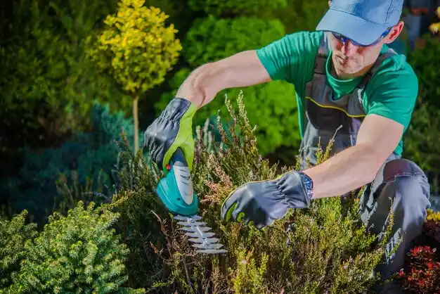 landscaping services Leonard